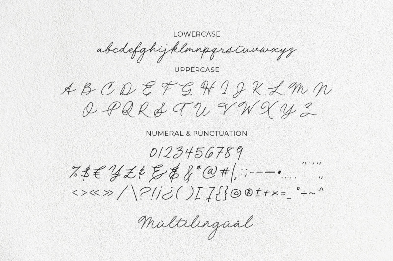 chatty-rolia-handwritten-script