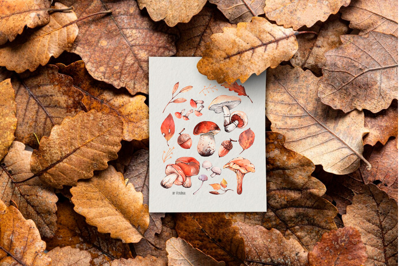 autumn-mushrooms-watercolor-set