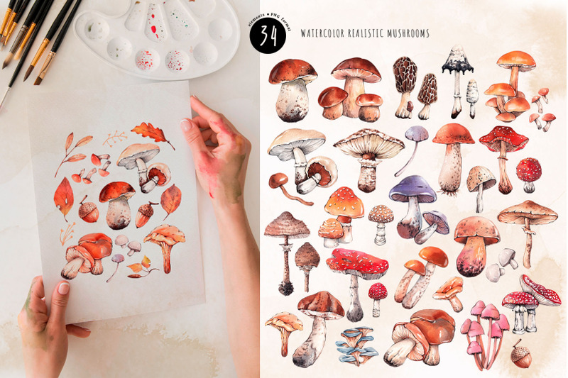 autumn-mushrooms-watercolor-set