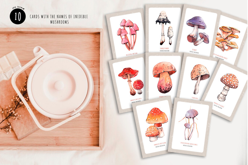 autumn-mushrooms-watercolor-set