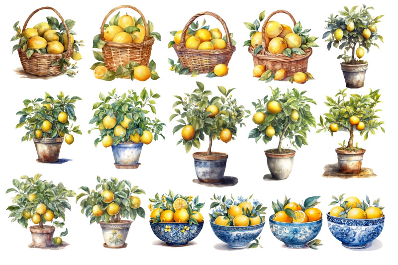 watercolour-lemon-bundle