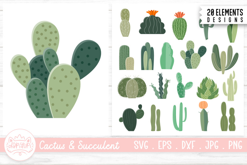 cactus-and-succulent-clipart-bundle