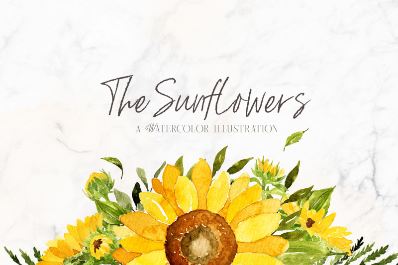 sunflowers-watercolor-illustrations