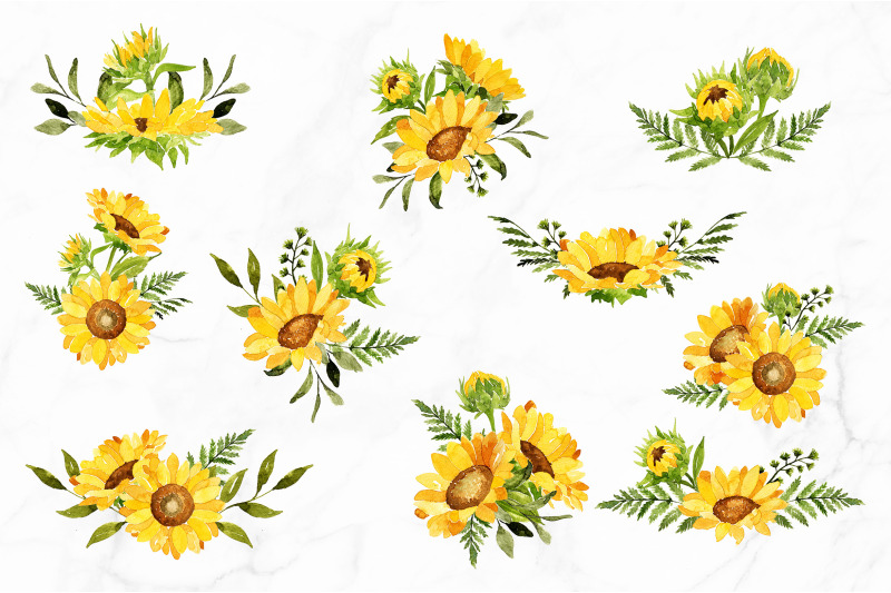 sunflowers-watercolor-illustrations