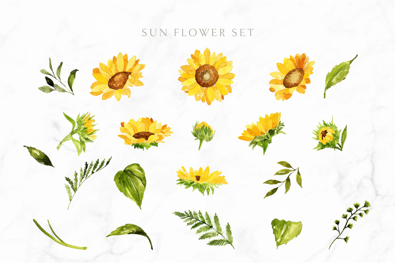 sunflowers-watercolor-illustrations