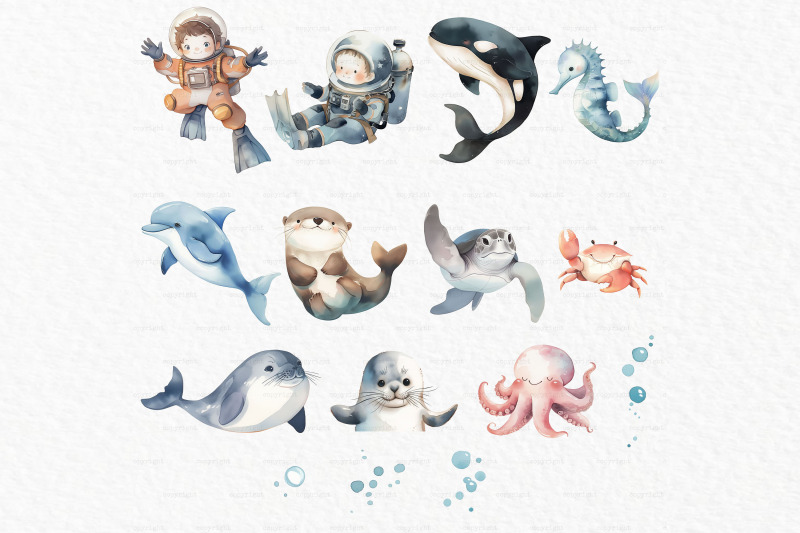 marine-life-watercolor-clipart-png