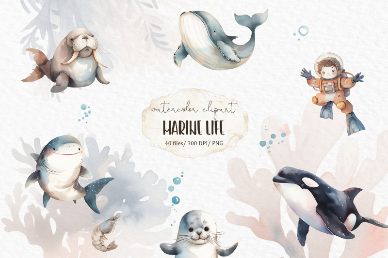 marine-life-watercolor-clipart-png