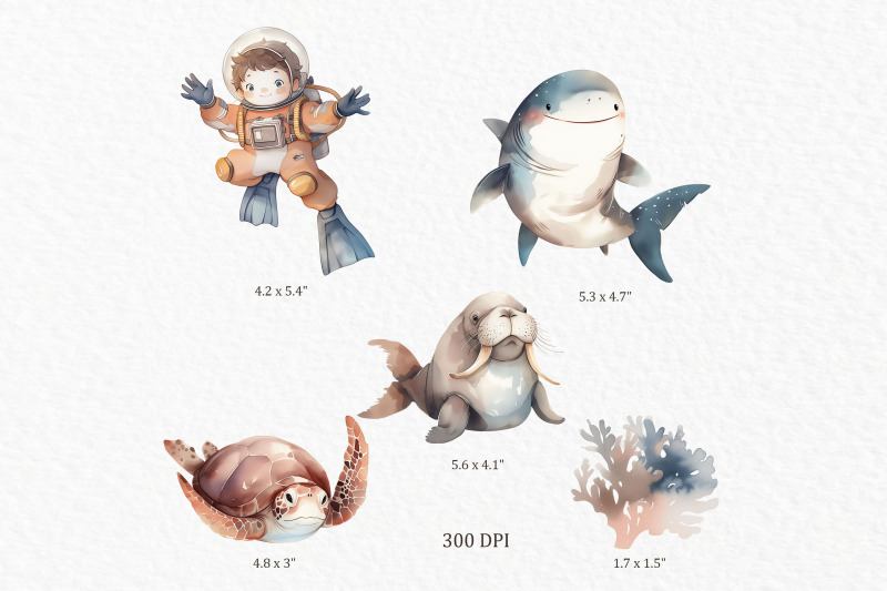 marine-life-watercolor-clipart-png