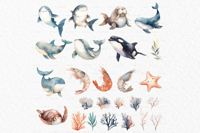 marine-life-watercolor-clipart-png