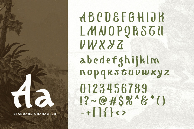 mograph-wild-handwritten-font