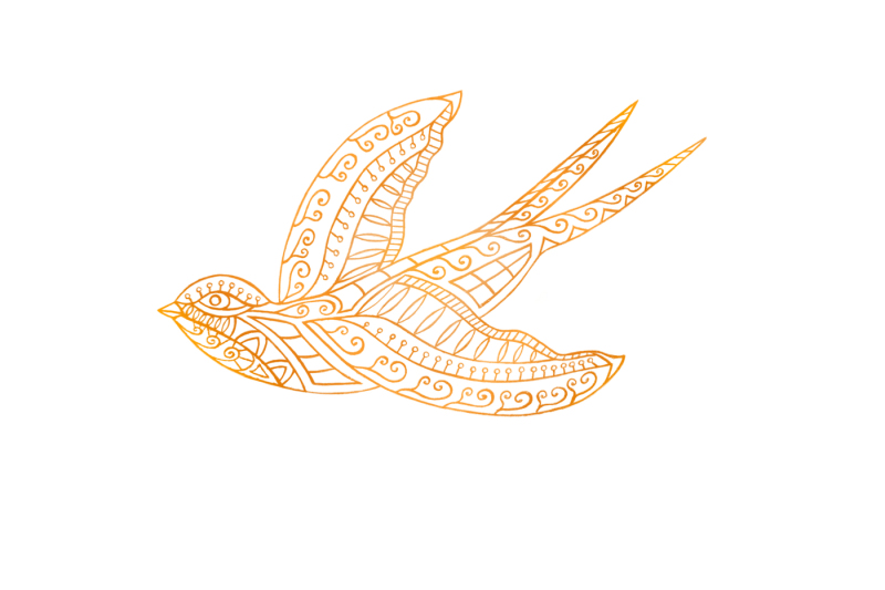 the-image-of-a-flying-bird-a-sketch-of-hands-the-archive-contains-6-jpeg-300-dpi-on-white-background-6-png-transparent