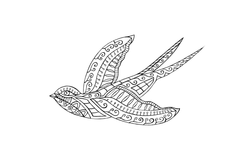 the-image-of-a-flying-bird-a-sketch-of-hands-the-archive-contains-6-jpeg-300-dpi-on-white-background-6-png-transparent