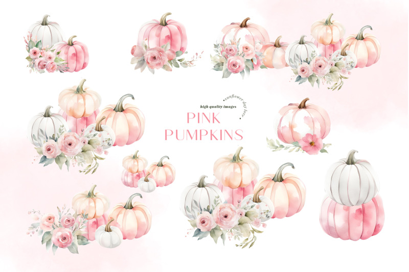 boho-pink-autumn-pumpkin-clipart