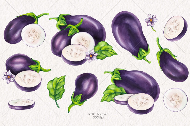 watercolor-eggplant-png