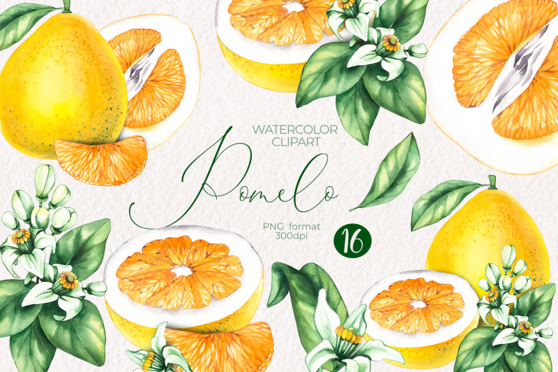 watercolor-pomelo-png