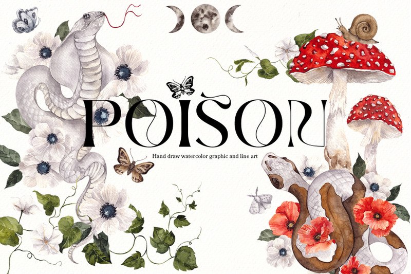 poison-watercolor-graphic-and-line-art