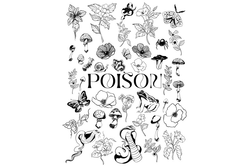 poison-watercolor-graphic-and-line-art