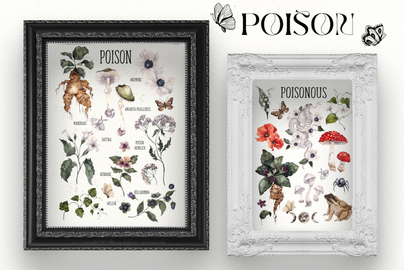 poison-watercolor-graphic-and-line-art