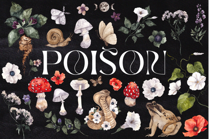 poison-watercolor-graphic-and-line-art