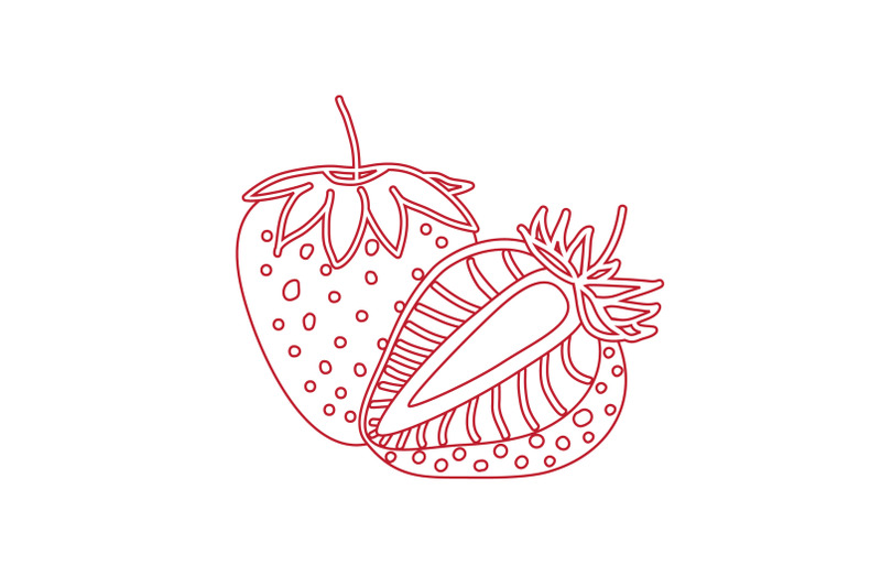 strawberry-drawing-hand-drawn-botanical-vector-illustration-set-coll