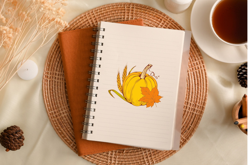 thanksgiving-harvest-svg-bundle