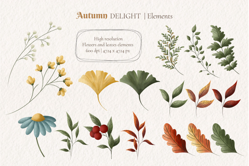 autumn-delight