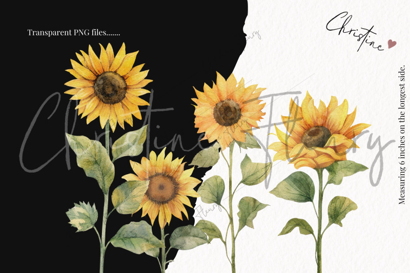 watercolor-sunflowers-clipart