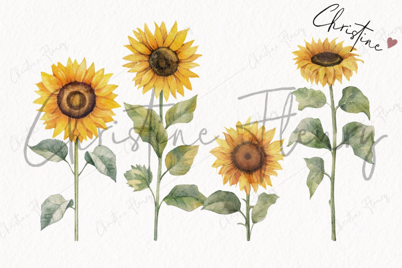 watercolor-sunflowers-clipart