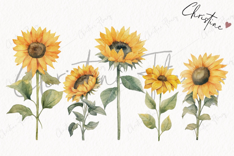 watercolor-sunflowers-clipart