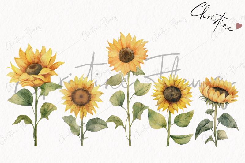 watercolor-sunflowers-clipart