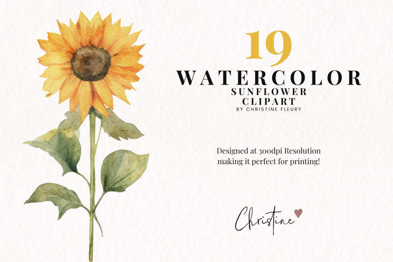 watercolor-sunflowers-clipart