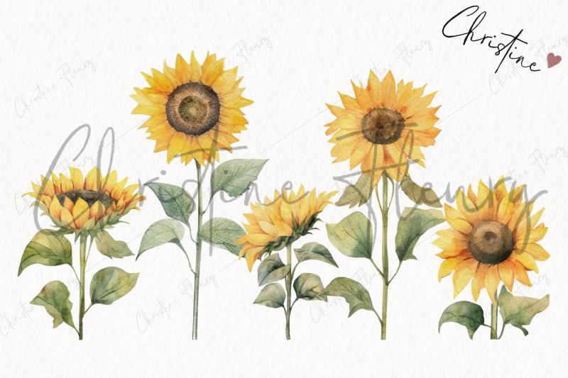 watercolor-sunflowers-clipart