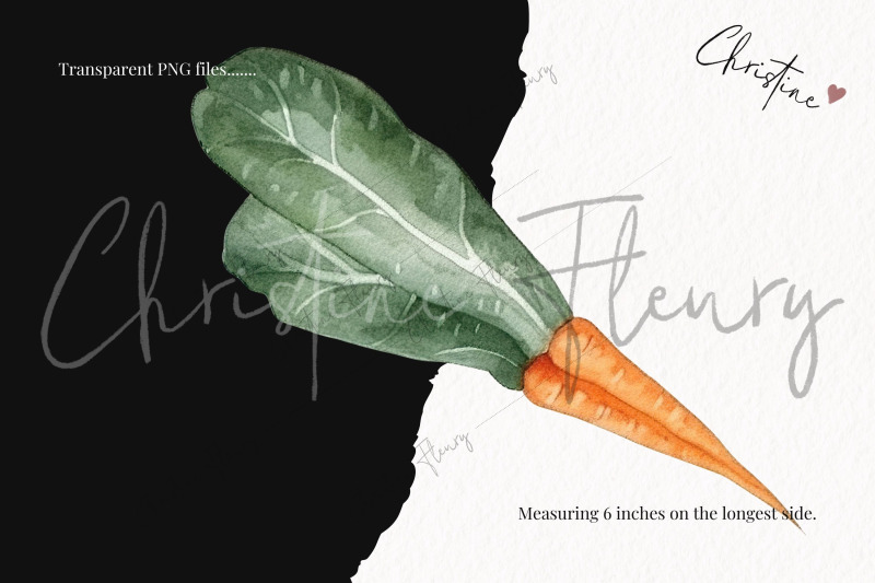 watercolor-vegetables-clipart