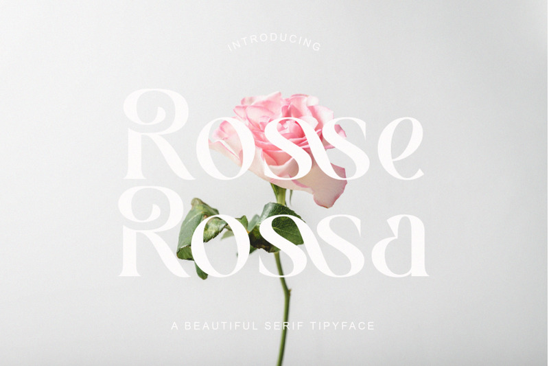 rosse-rossa