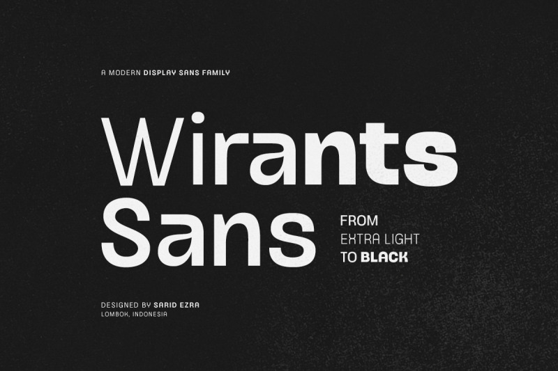 wirants-display-sans-family