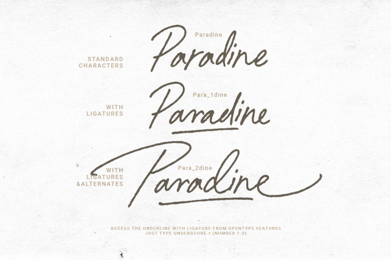 paradine-ligature-handwritten-font