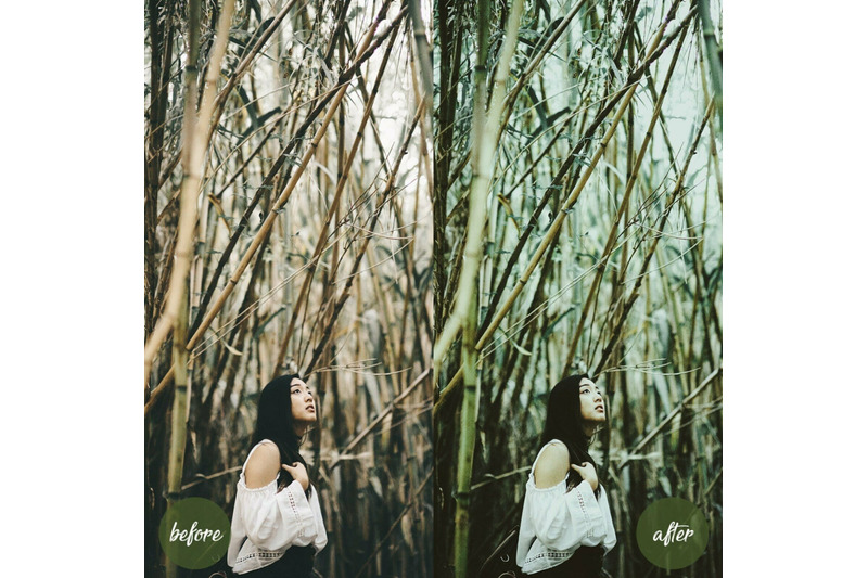 10-vintage-avocado-mobile-lightroom-presets