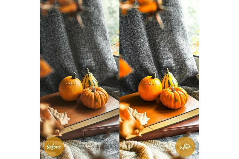 10-pumpkin-mobile-lightroom-presets