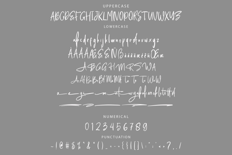 amotta-ragenta-signature-font