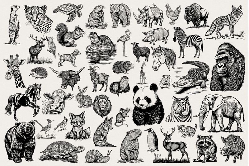 animal-photoshop-brushes-collection