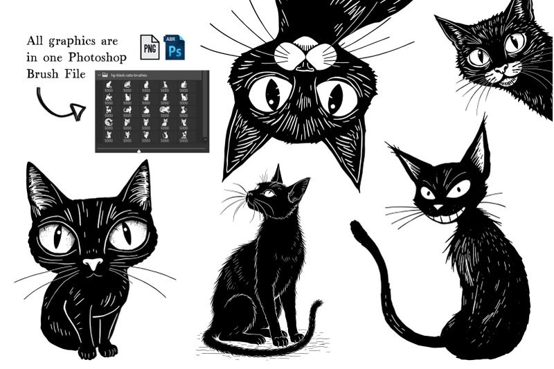 black-cat-brushes-and-png-files