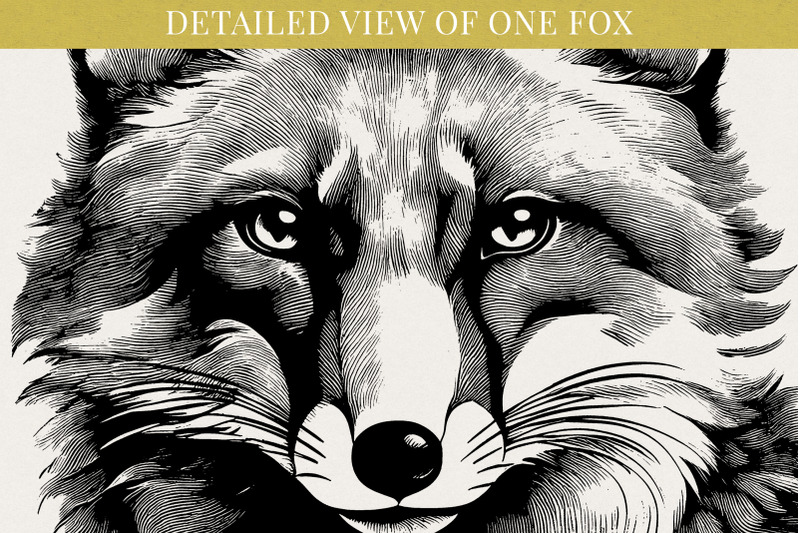 fox-portraits-png-clipart-set