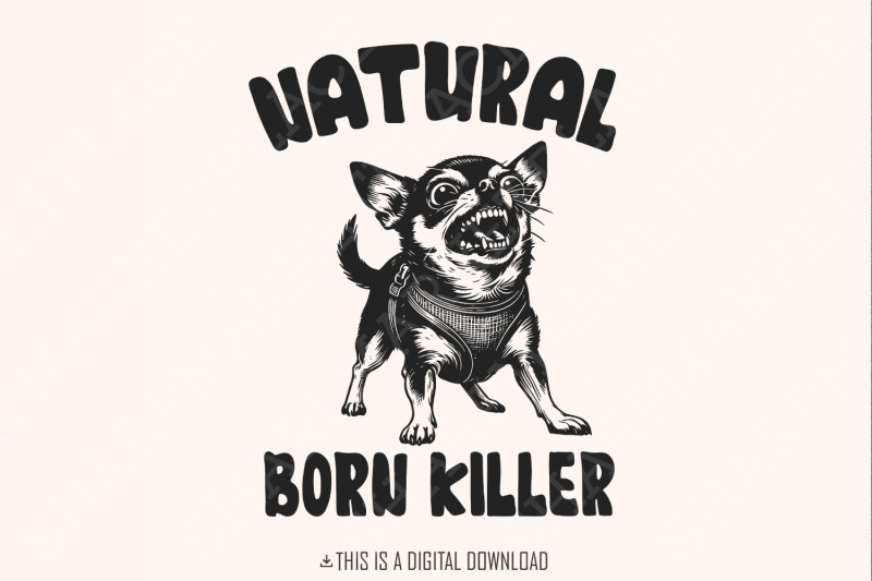 born-killer-chihuahua-png-clipart-funny-dog-art-vintage-dog-illustra