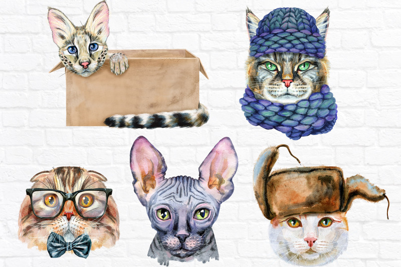 watercolor-cats-set-10