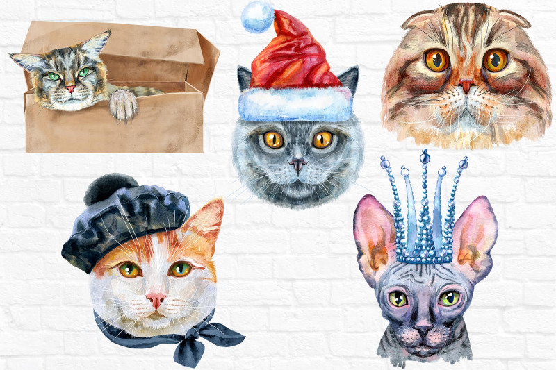 watercolor-cats-set-11