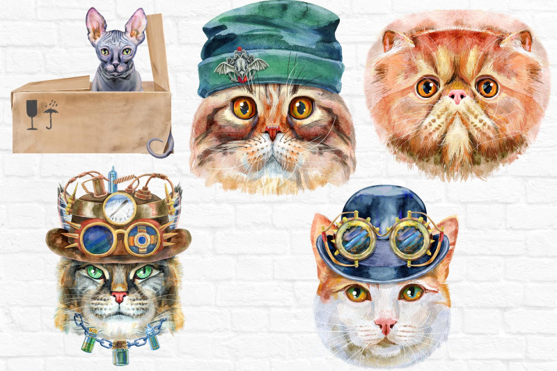 watercolor-cats-set-12