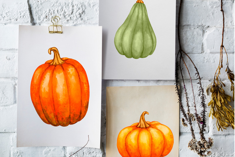 pumpkins-watercolor-collection-png-jpg