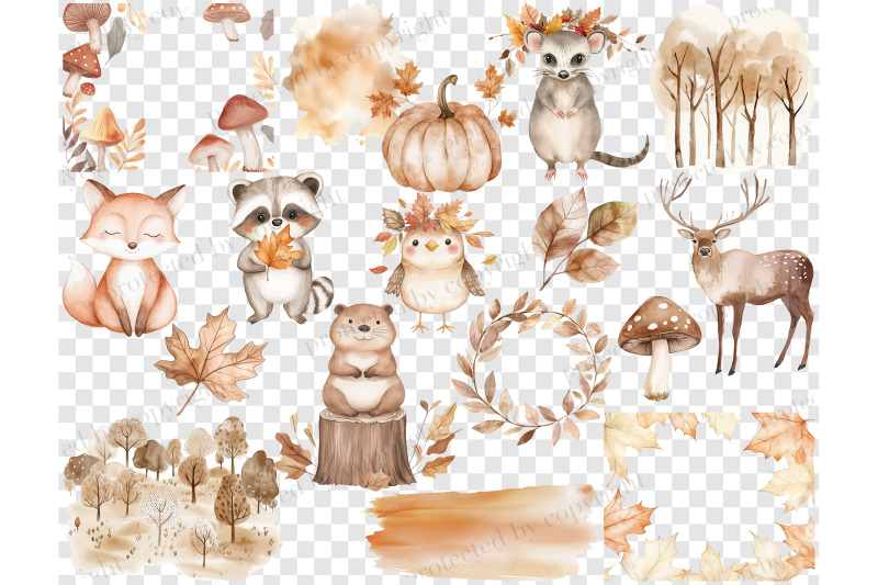 fall-woodland-clipart-baby-shower-png-collection