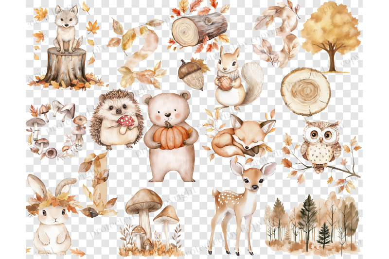 fall-woodland-clipart-baby-shower-png-collection