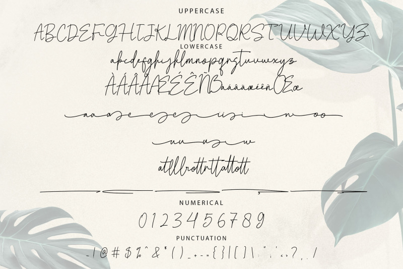 weldatelia-monoline-script-font